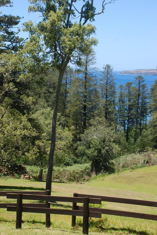 Coast Norfolk Island Apartment Бернт Пайн Стая снимка
