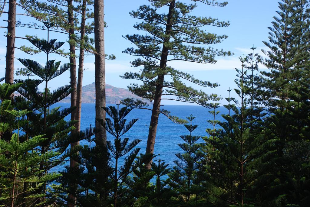 Coast Norfolk Island Apartment Бернт Пайн Стая снимка