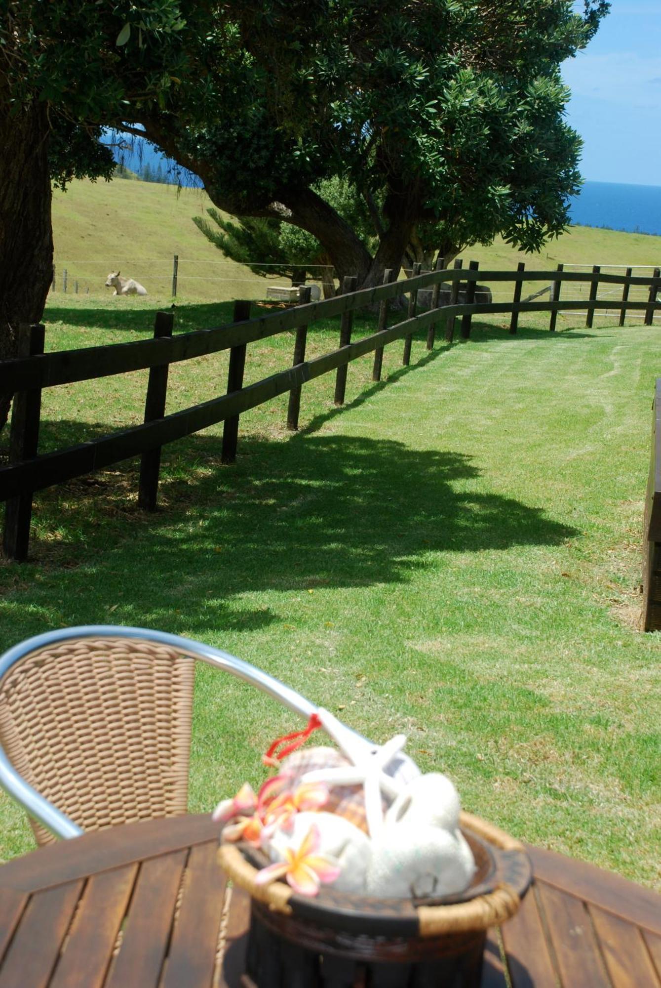 Coast Norfolk Island Apartment Бернт Пайн Екстериор снимка