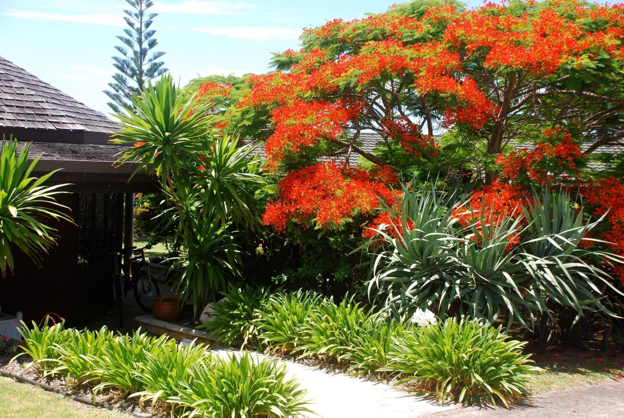 Coast Norfolk Island Apartment Бернт Пайн Екстериор снимка