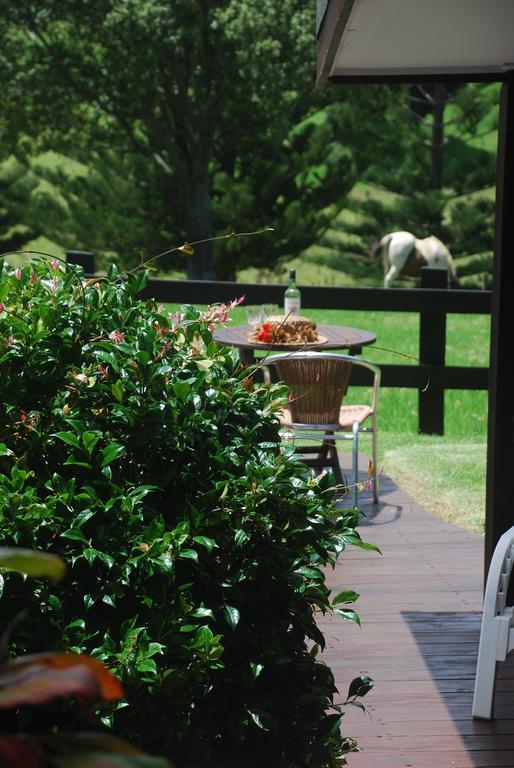 Coast Norfolk Island Apartment Бернт Пайн Стая снимка