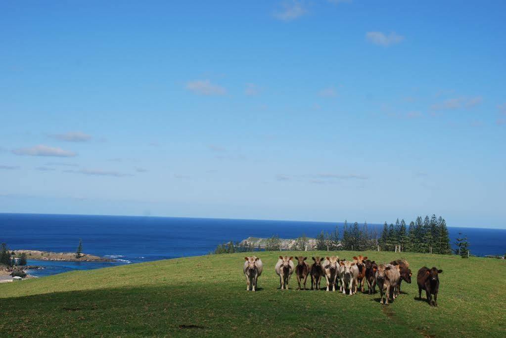 Coast Norfolk Island Apartment Бернт Пайн Екстериор снимка